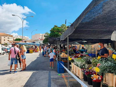 Mercadillos los sábados en la provincia de Alicante: Calpe, La Zenia Mercadillos de Alicante los sábados: Calpe, La Zenia