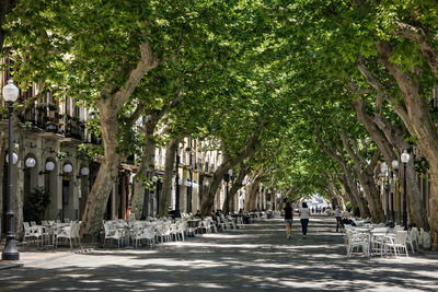 Главная улица Дении - Marqués de Campo