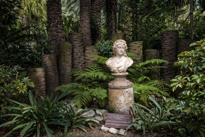 Сад Huerto del Cura в Эльче