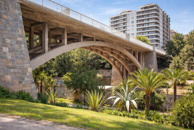 Мост Puente de Altamira в Эльче