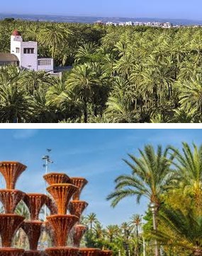 Palm forest in Elche