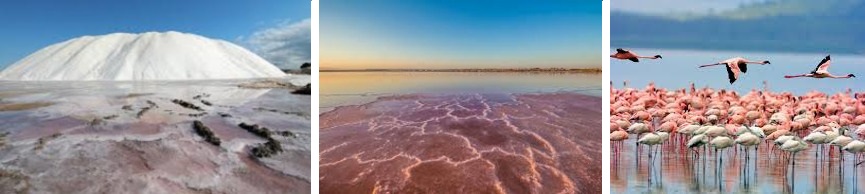 Santa Pola salt lakes in the province of Alicante