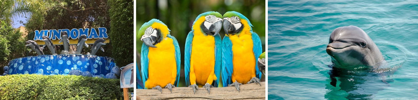 Животные Мундомара и прогулка по парку