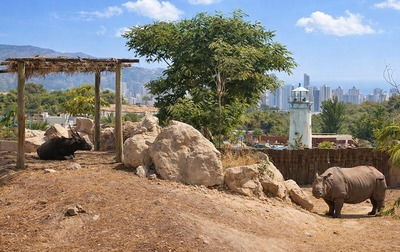 Terra Natura — животные в зоопарке Бенидорма