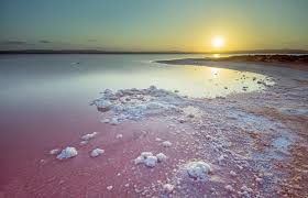 Pink salt lake in Torrevieja