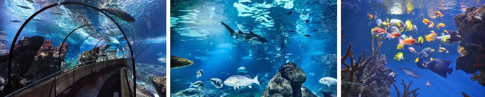 Aquarium in Barcelona