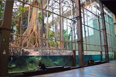 CosmoCaixa CosmoCaixa — научный музей с живыми экосистемами