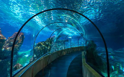 Barcelona Aquarium - один из крупнейших аквариумов Средиземноморского региона