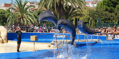 Marineland Catalunya — морской парк, аквапарк и семейные шоу
