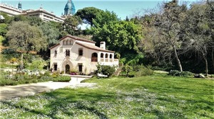 Jardín Botánico Histórico de Barcelona