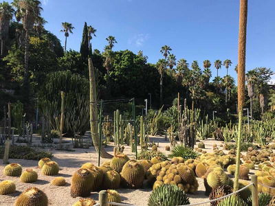 Mossèn Costa i Llobera Gardens