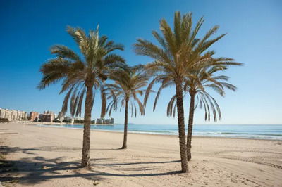 Mar Mediterráneo El mar Mediterráneo y la playa: las ventajas de vivir en España