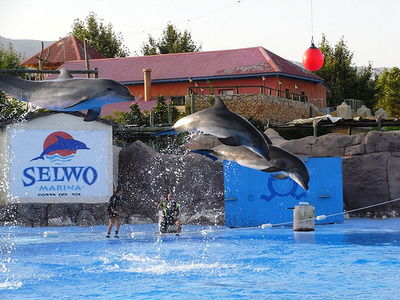 Selwo Marina marine park in Benalmádena