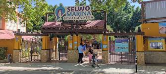 Benalmadena attraction - Selvo Marina Dolphinarium