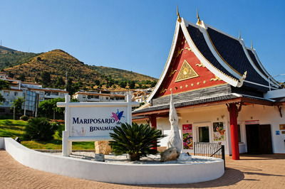 Parque de las Mariposas Mariposario en Benalmádena — jardín tropical con mariposas exóticas