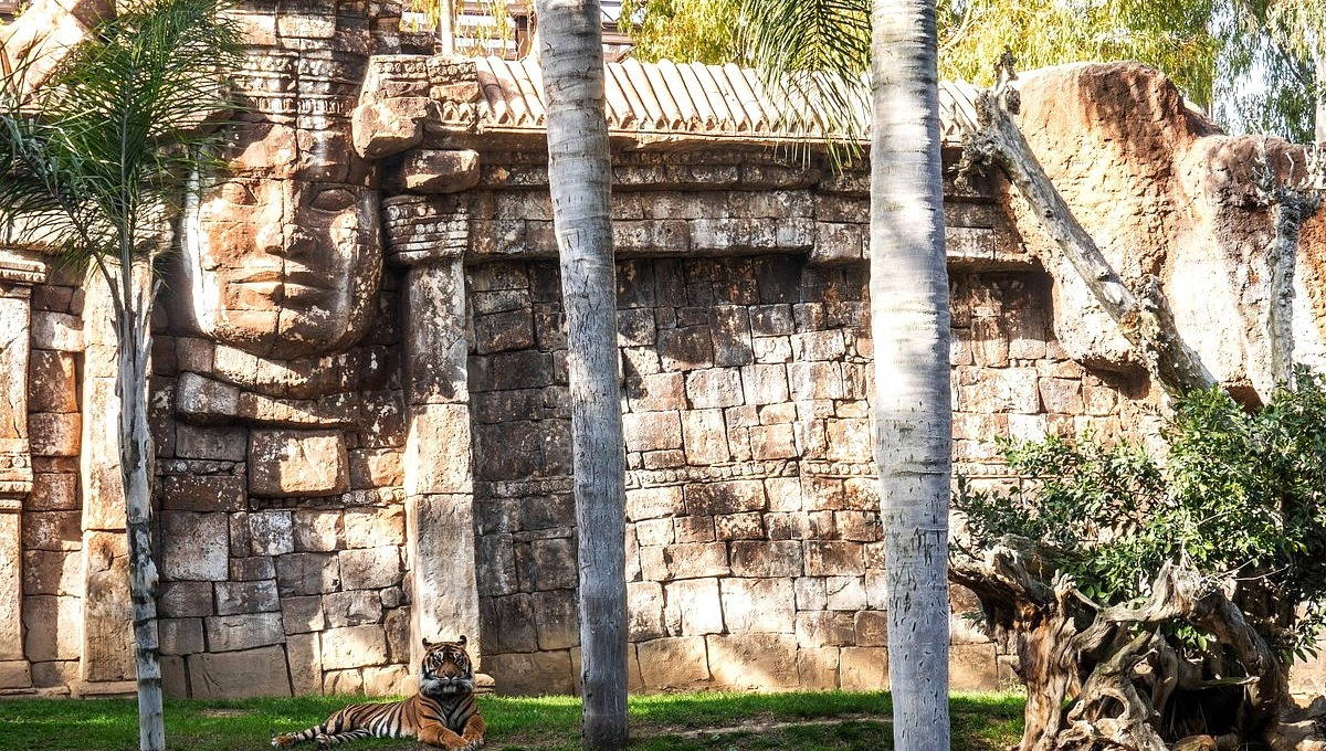 Bioparc Fuengirola — тигр в тропическом зоопарке на Коста-дель-Соль