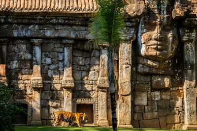 Bioparc Fuengirola — зоопарк и природная экспозиция Биопарк Фуэнхиролы с животными в естественных условиях