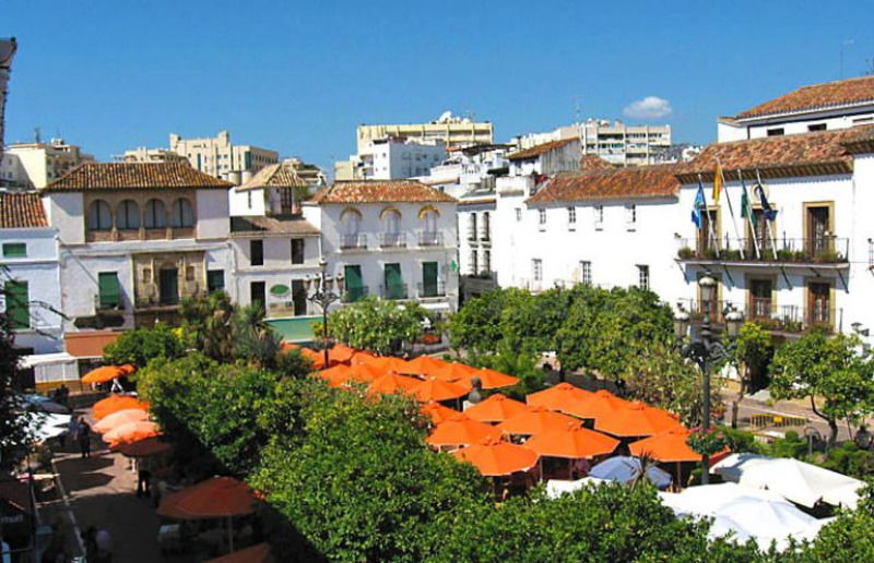 Orange Tree Square