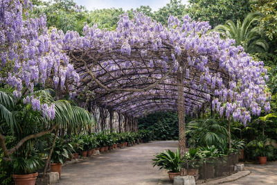 Jardin Botanico La Concepcion ботанический сад