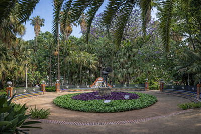 Parque de Malaga городской парк в центре Малаги