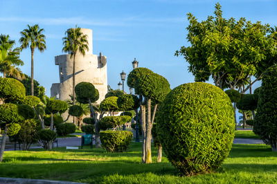 Parque de la Batería: zona verde para pasear en Torremolinos