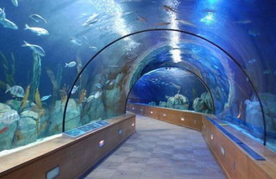 Океанариум Aquarium Sevilla в Севилье