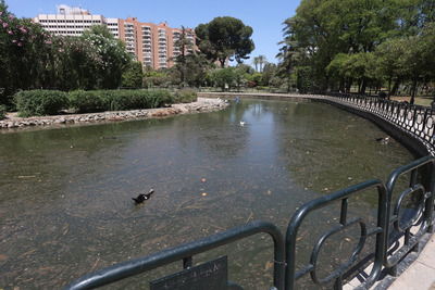Parque de los Príncipes в Севилье