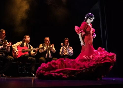 Flamenco Show at a Theatre in Granada City Centre