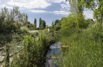 Marjal de Gandia — a natural park near the city