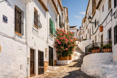 Casco antiguo de Oliva