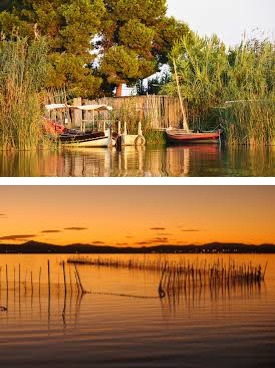 Albufera Natural Park in Valencia